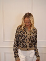 Z Supply Wild Out Look Cardigan