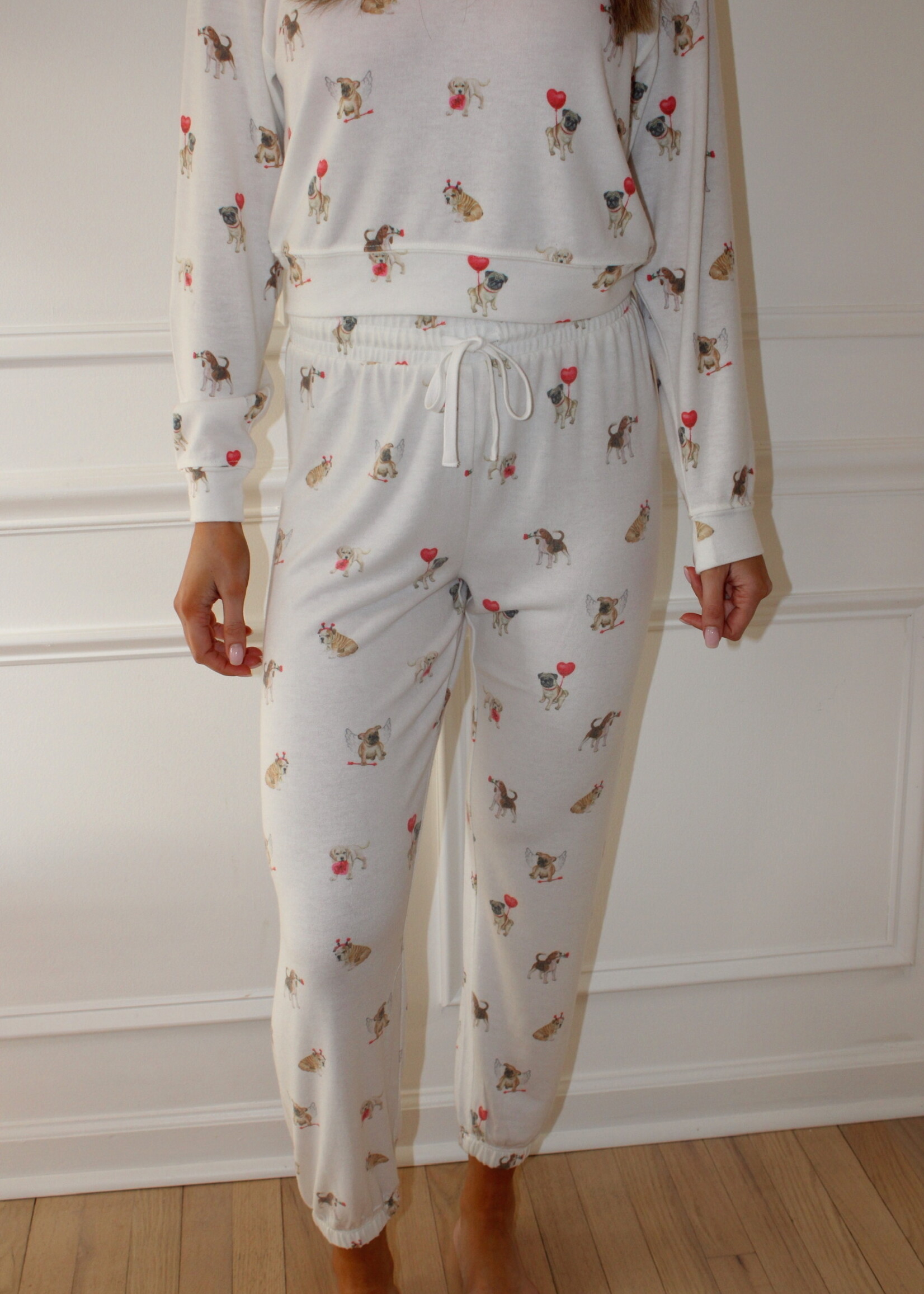 Z Supply Overnight Love Pup Jogger