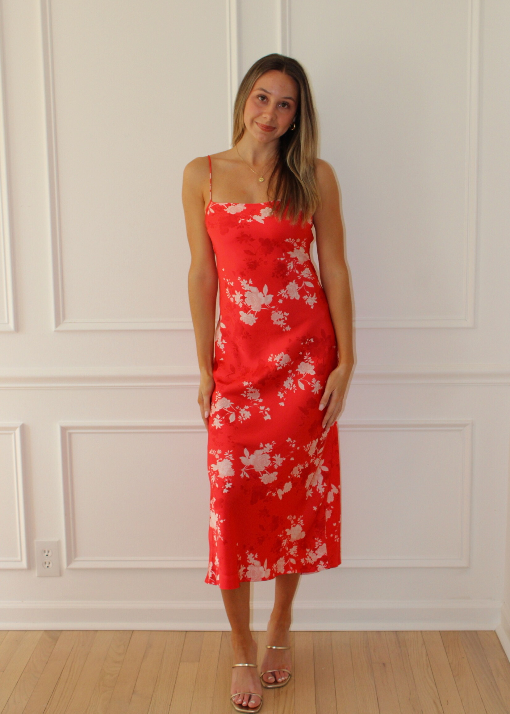 Z Supply Alyse Darya Floral Maxi Dress