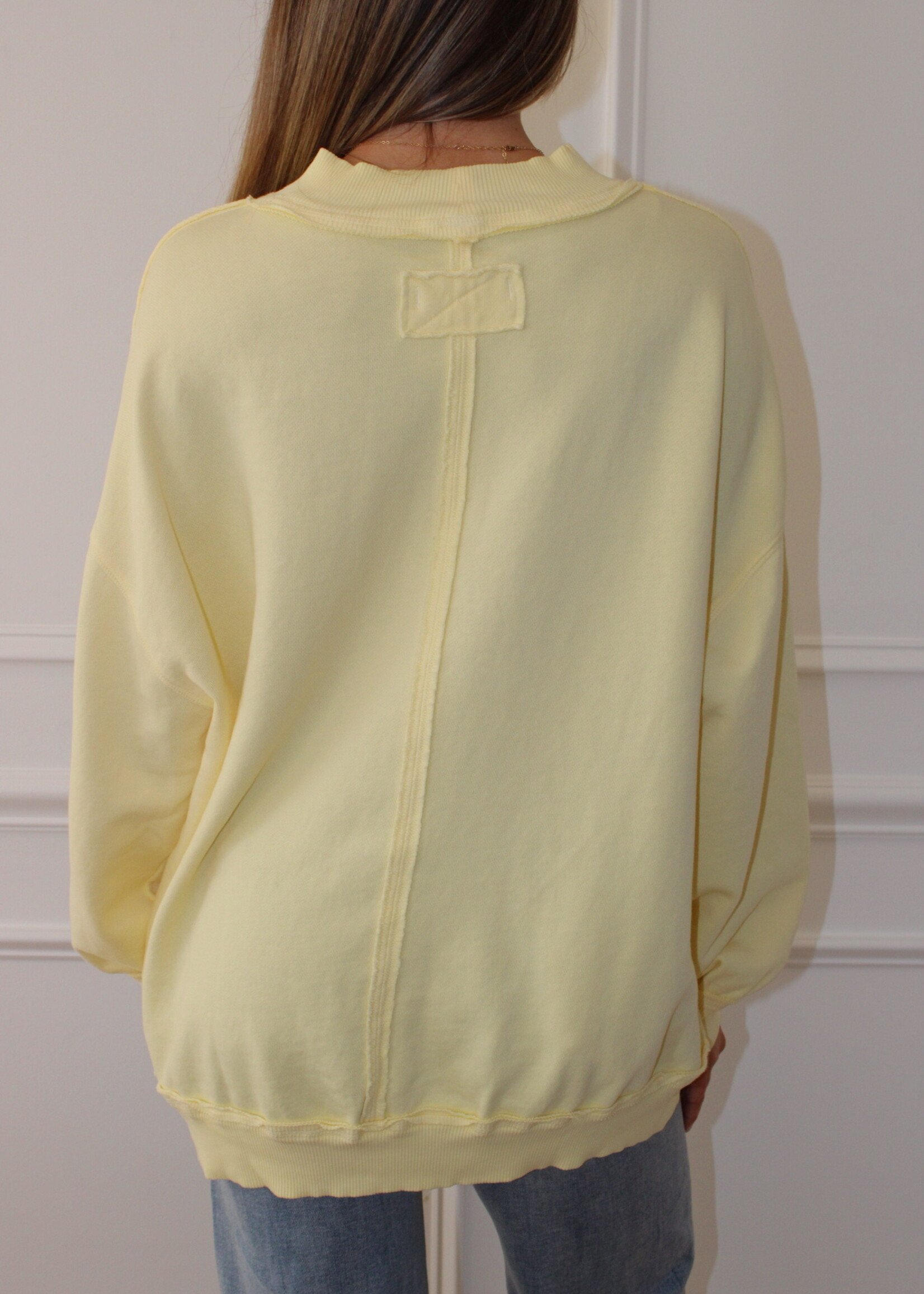 Free People Palm Springs Turtle