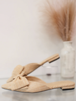 Dorothy Pointed Toe Flat