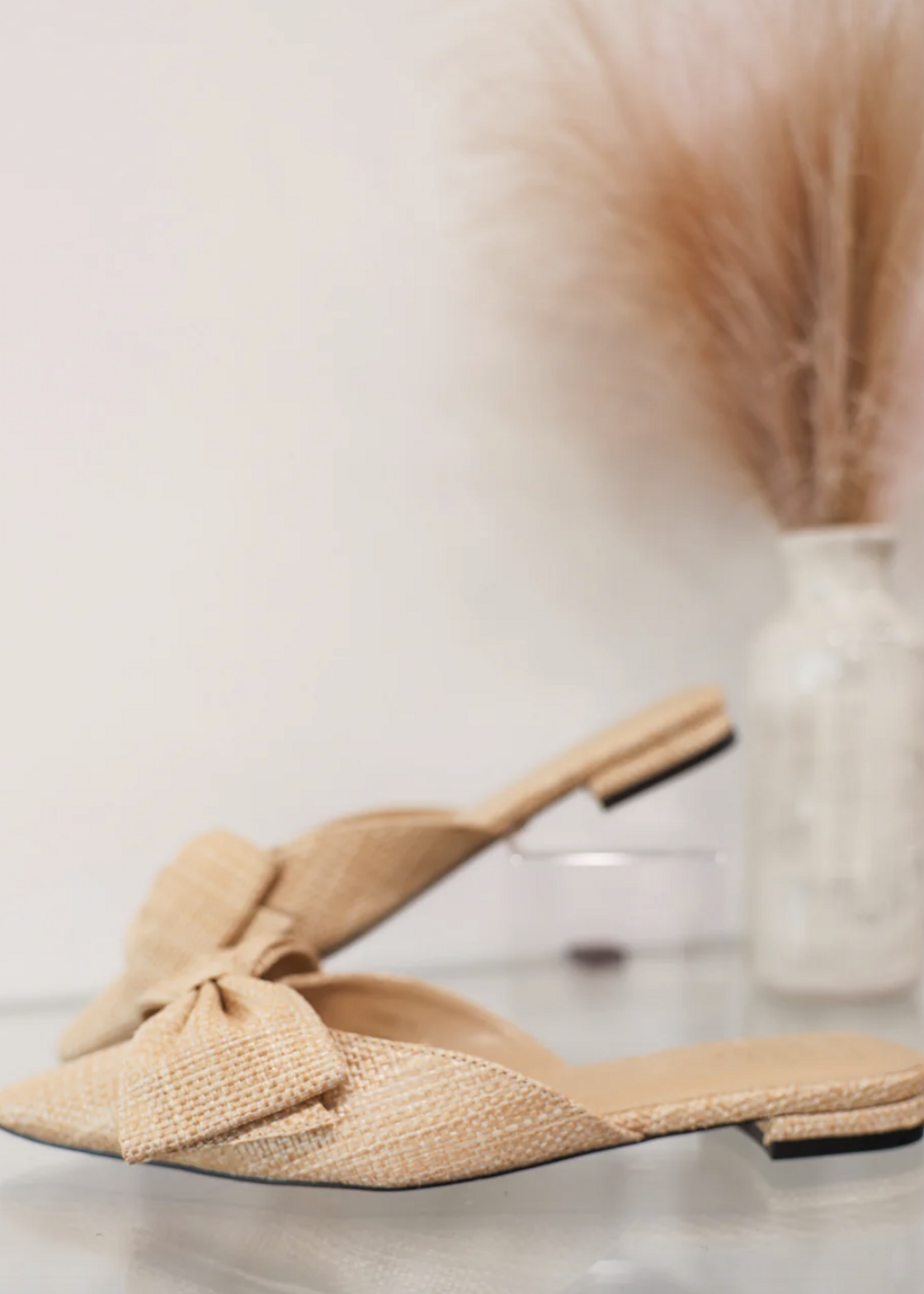 Dorothy Pointed Toe Flat