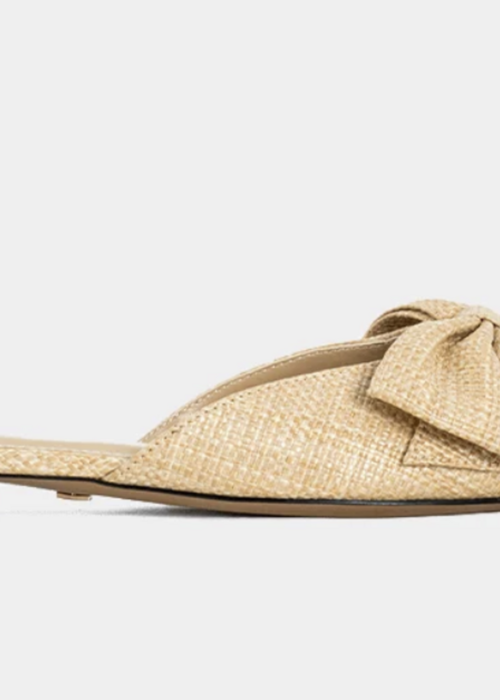 Dorothy Pointed Toe Flat