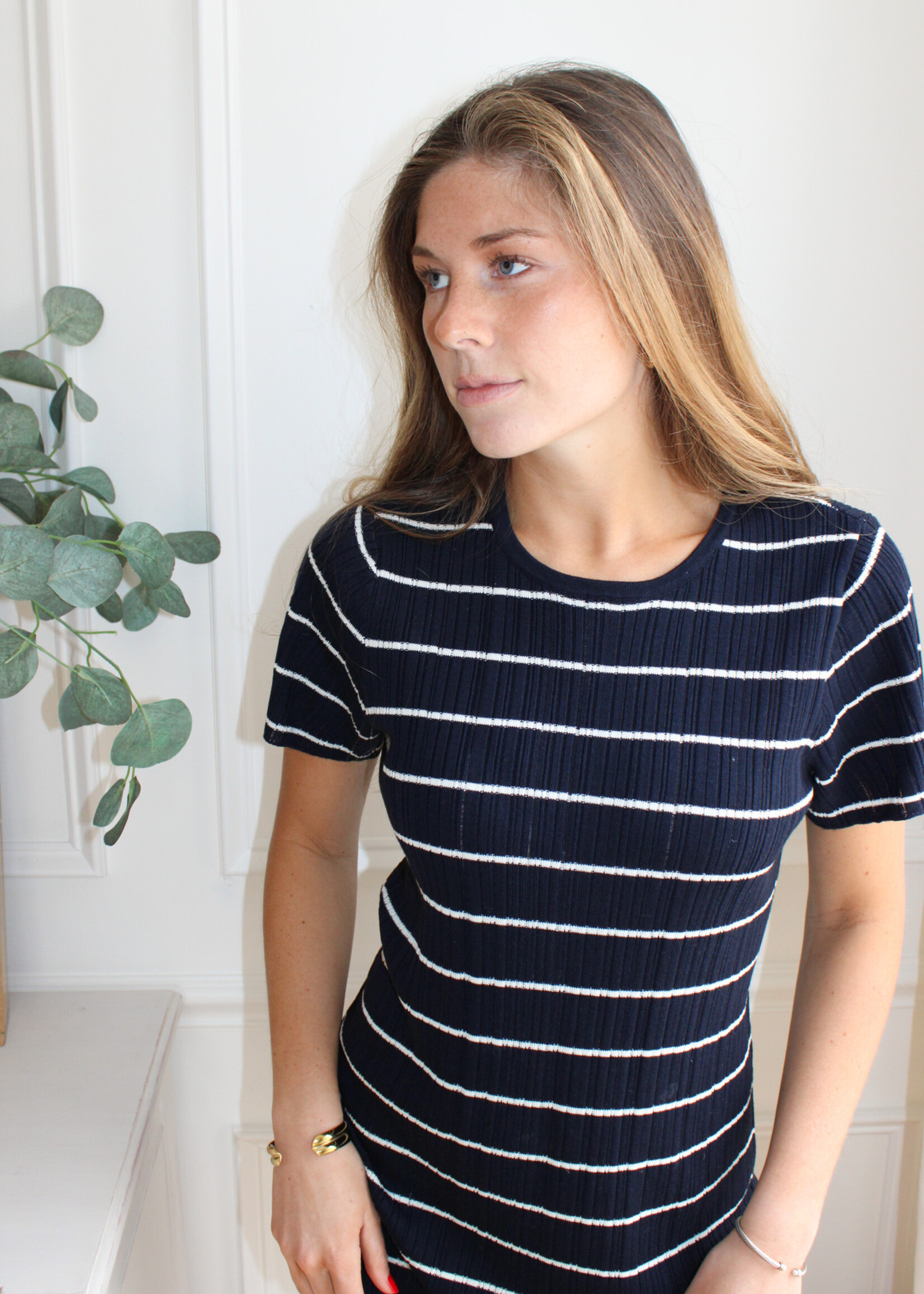 Z Supply Franka Mini Dress