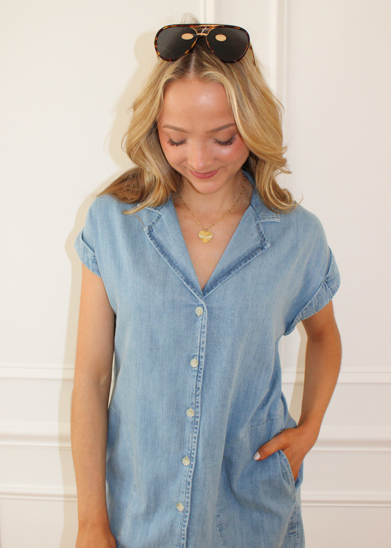 Z Supply Napa Denim Mini Dress