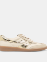 Dolce Vita Merit Sneaker