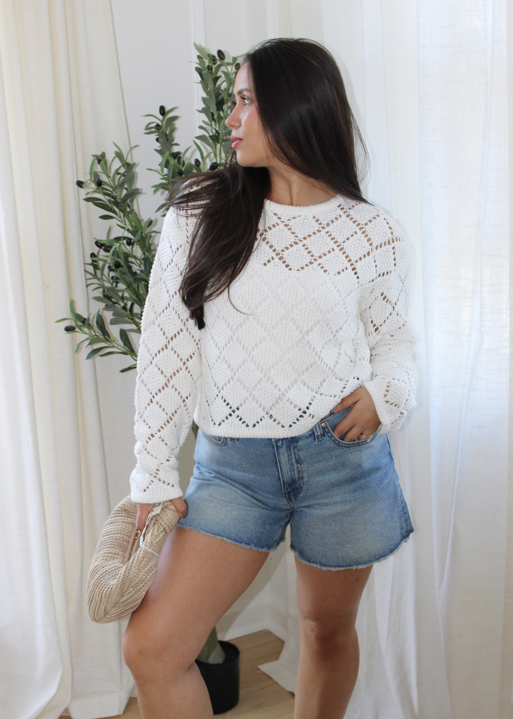 Z Supply Hullen Crochet Sweater