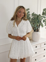 Chamomile Eyelet Collared Dress