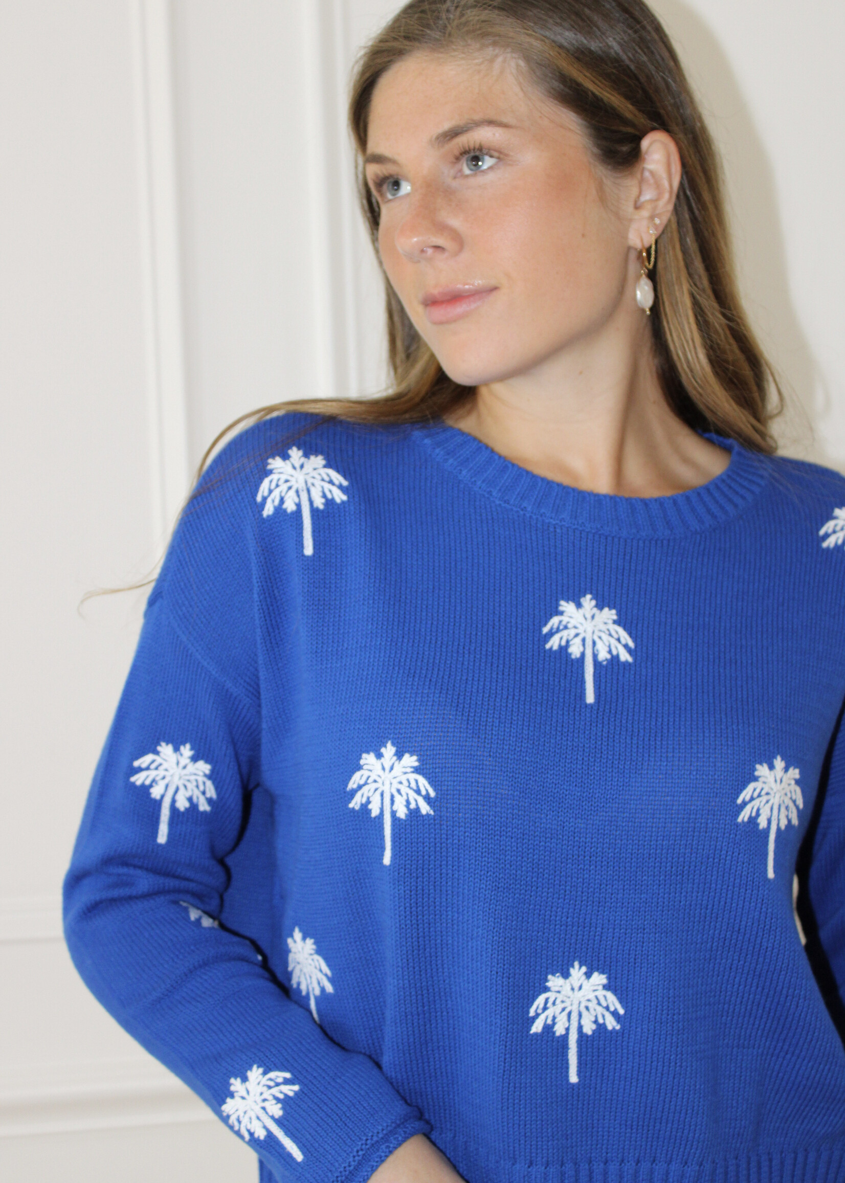 Z Supply Sienna Palm Sweater