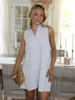 Z Supply New Light Mini Dress