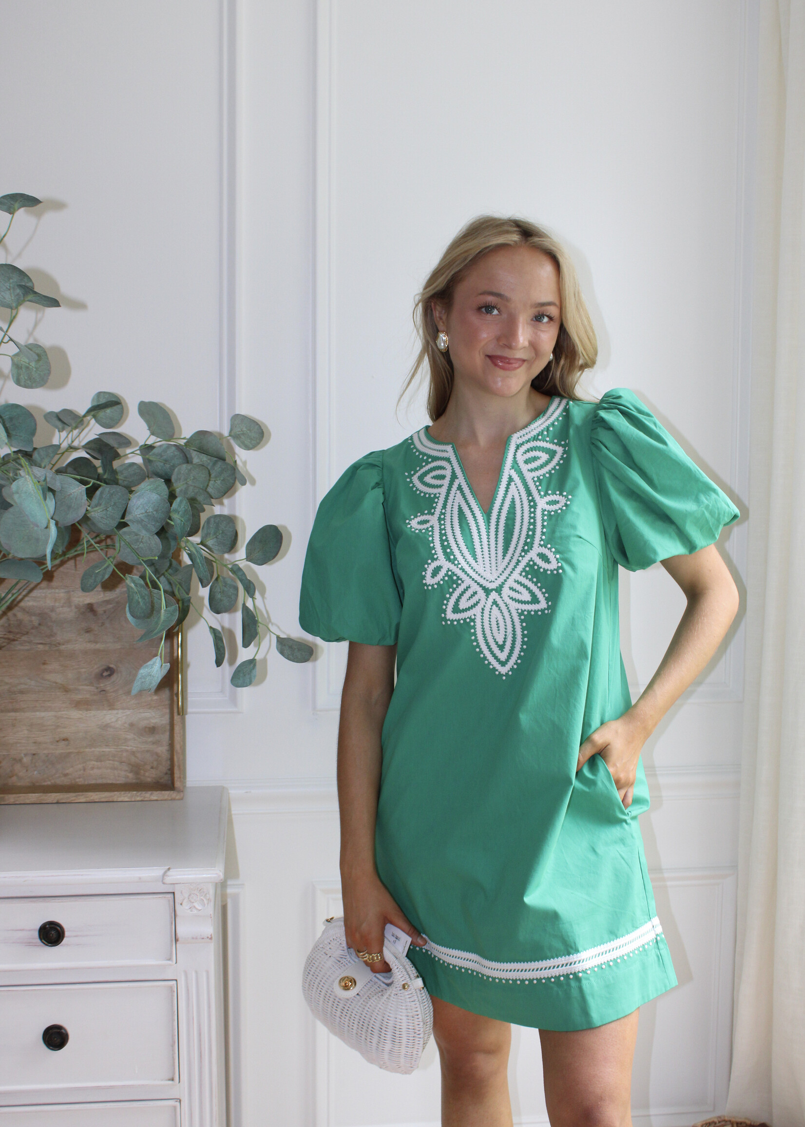 Marianna Embroidered Mini Dress