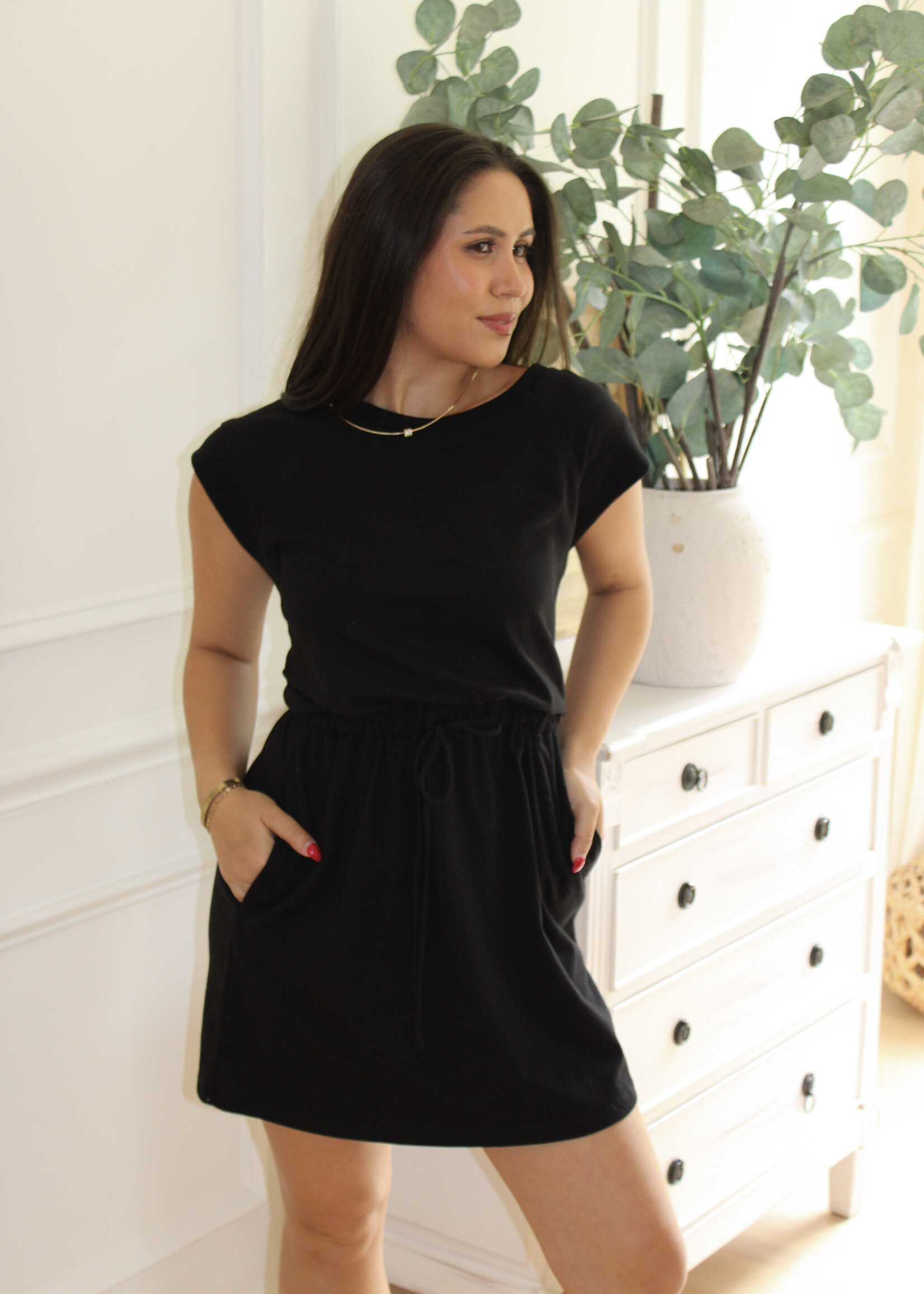 Z Supply Kalani Mini Dress