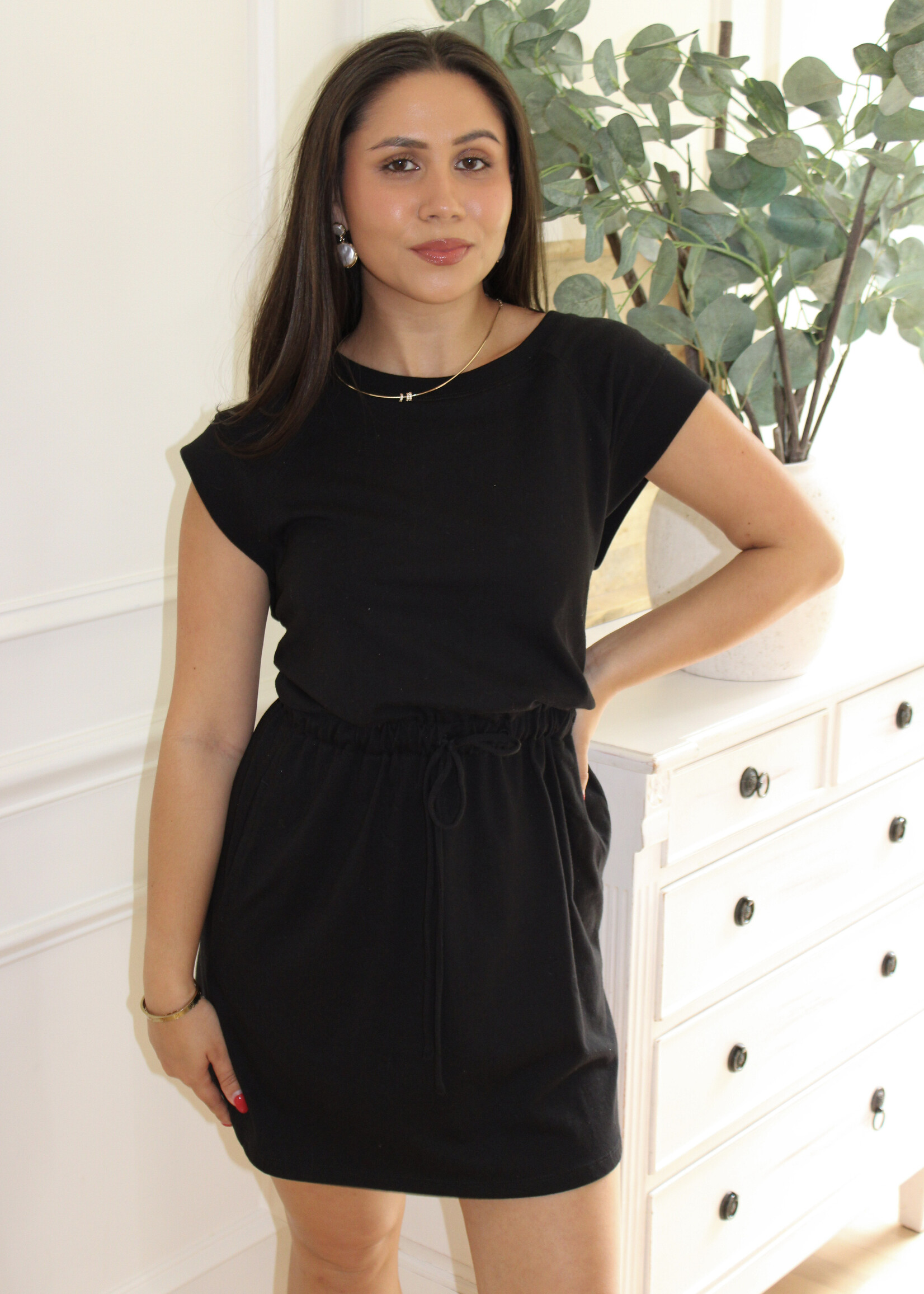 Z Supply Kalani Mini Dress