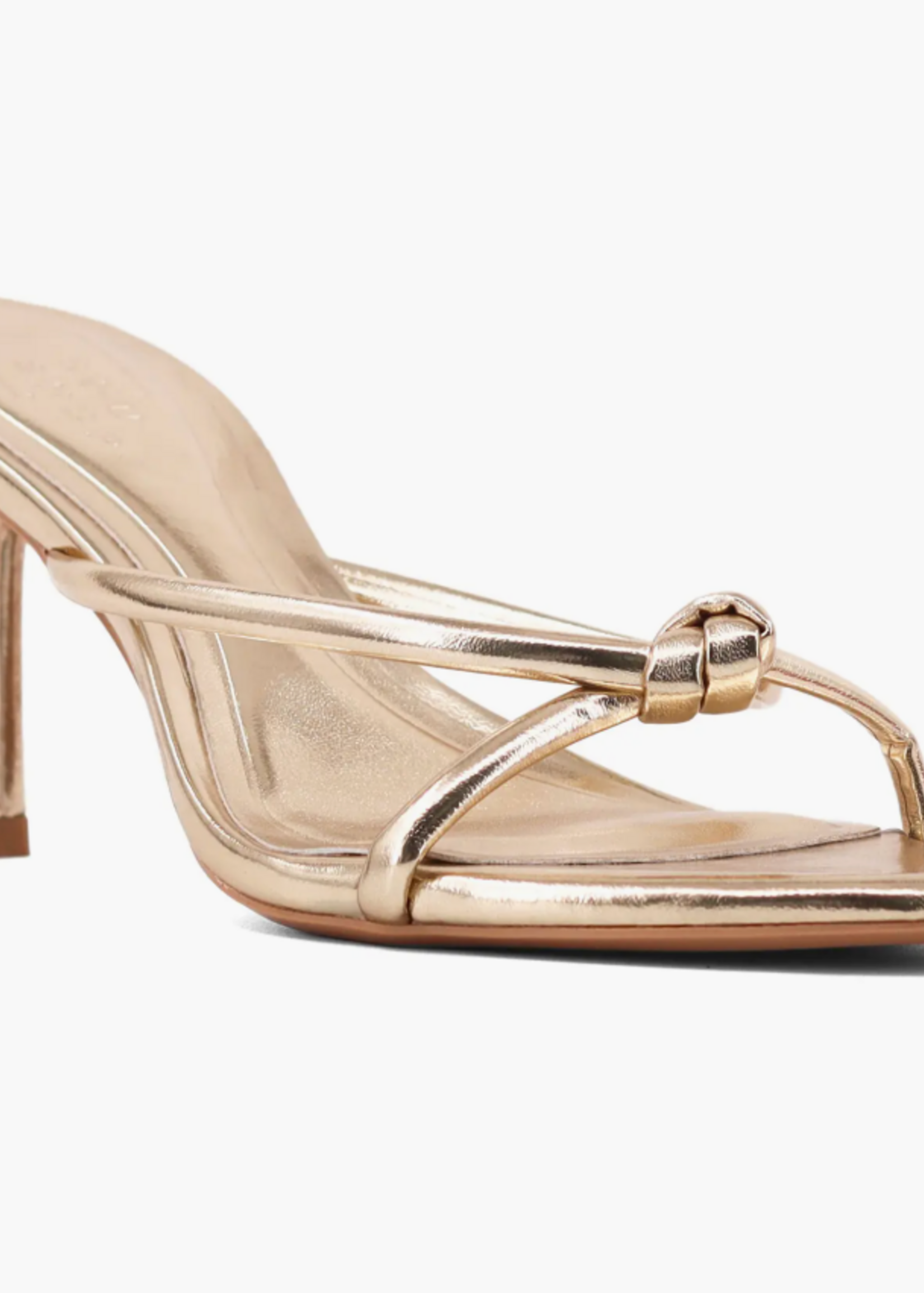 Heidi Heel