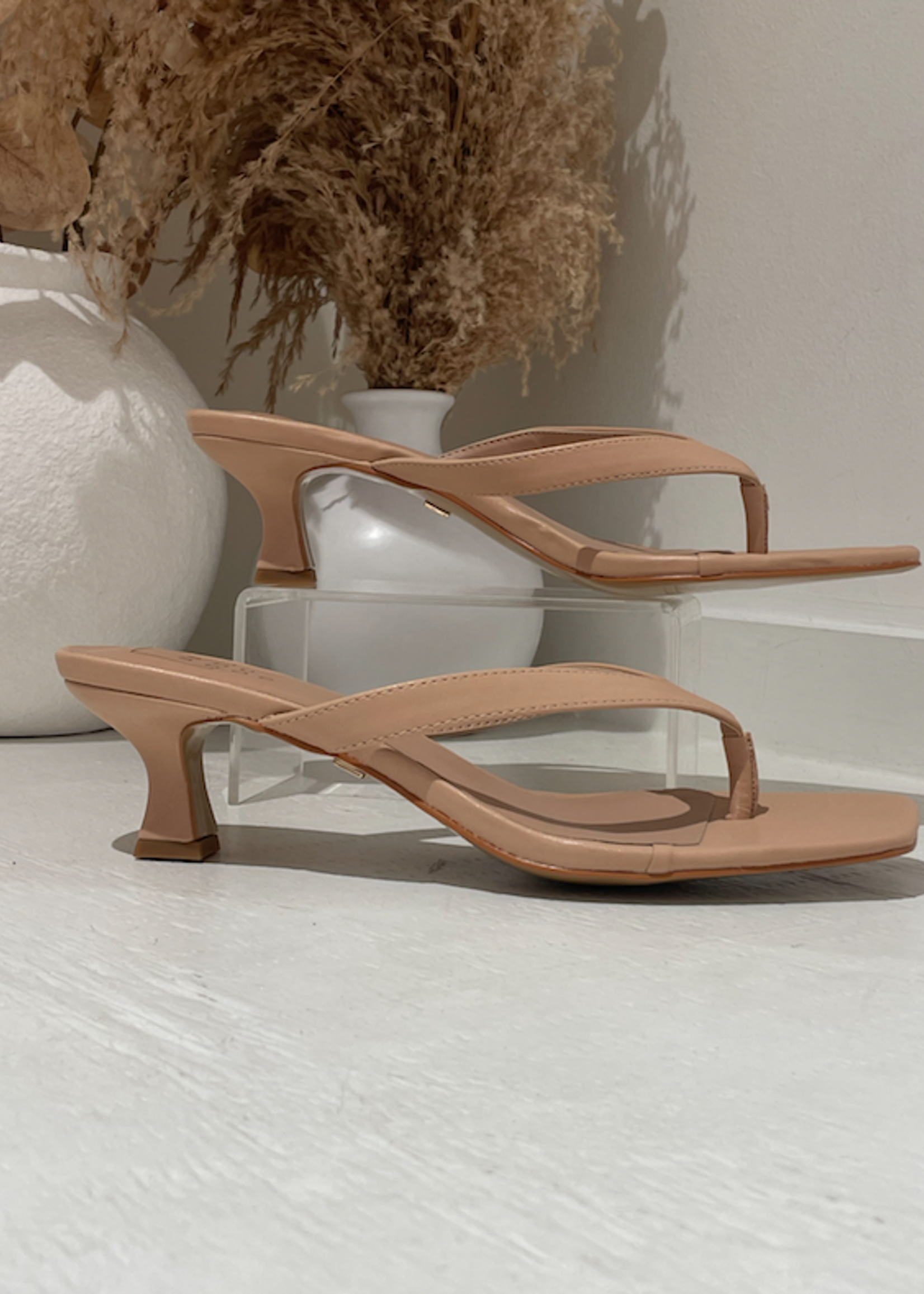 Franny Thong Heel