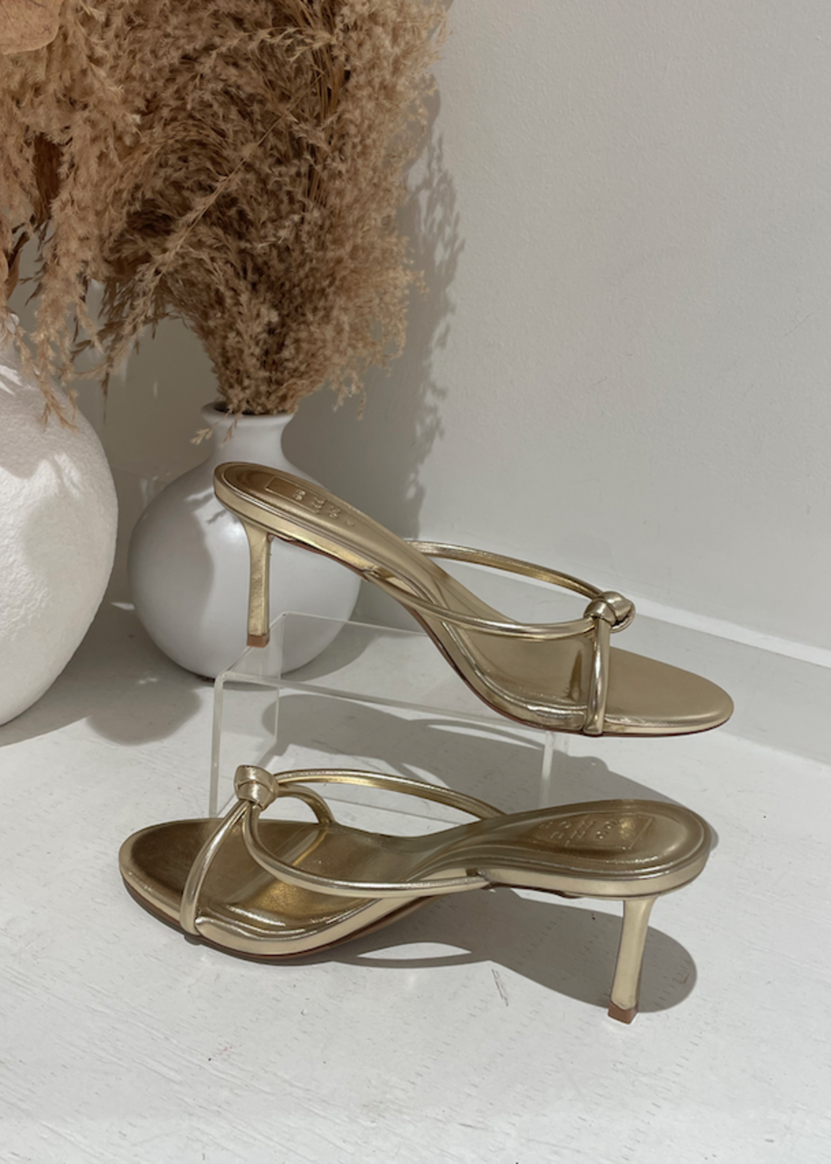 Heidi Heel
