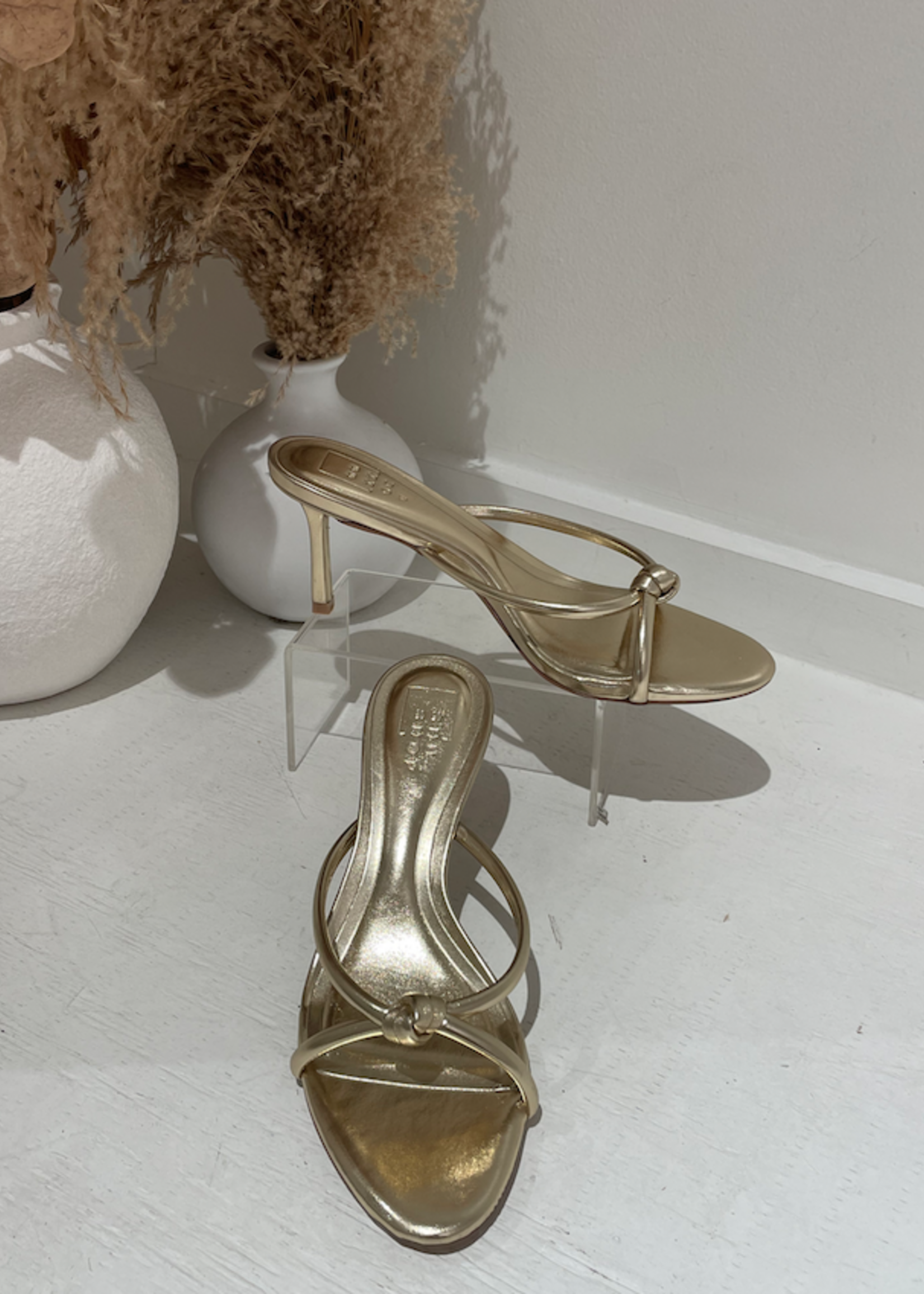 Heidi Heel