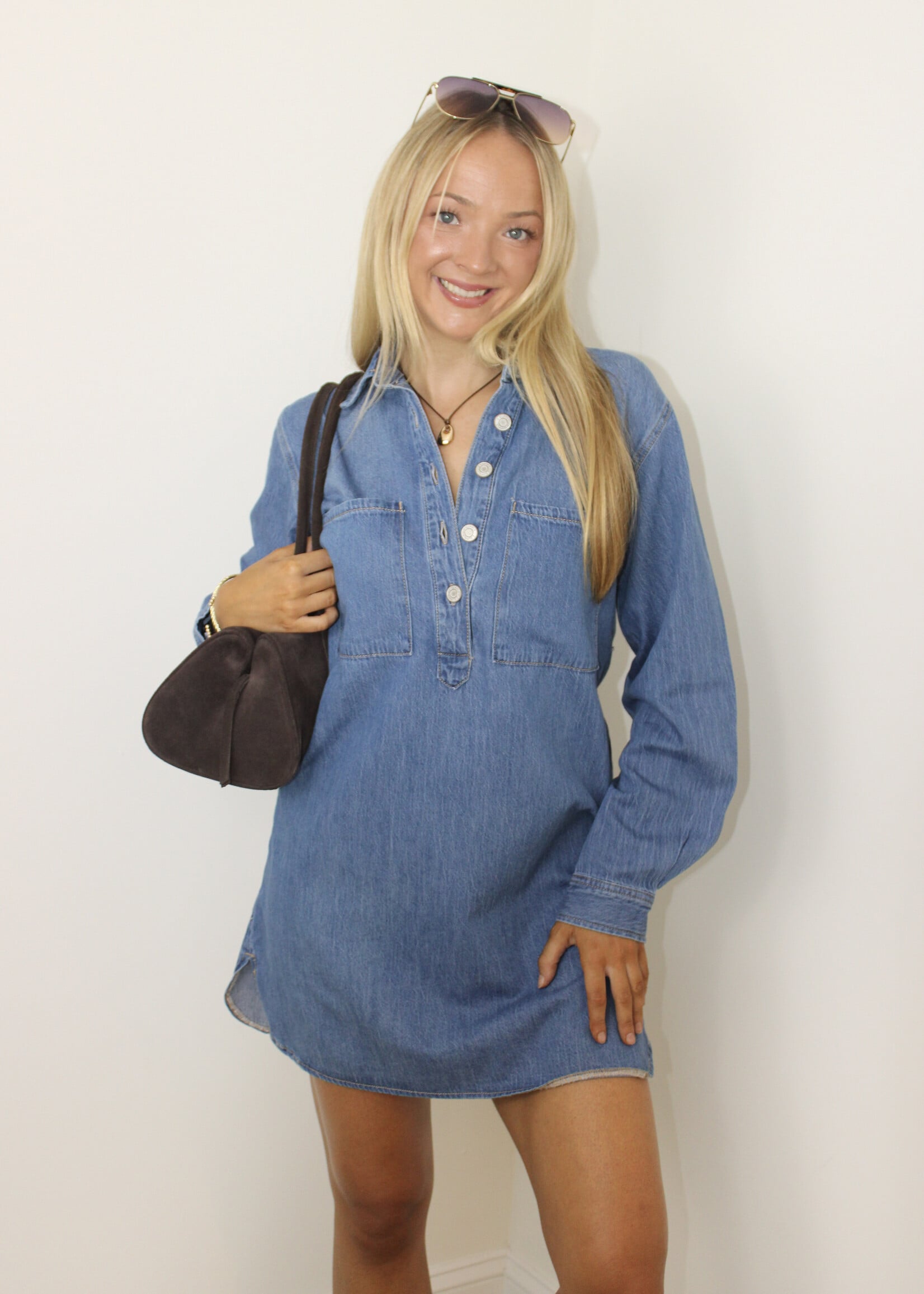 Z Supply Lucie Denim Shirt Dress