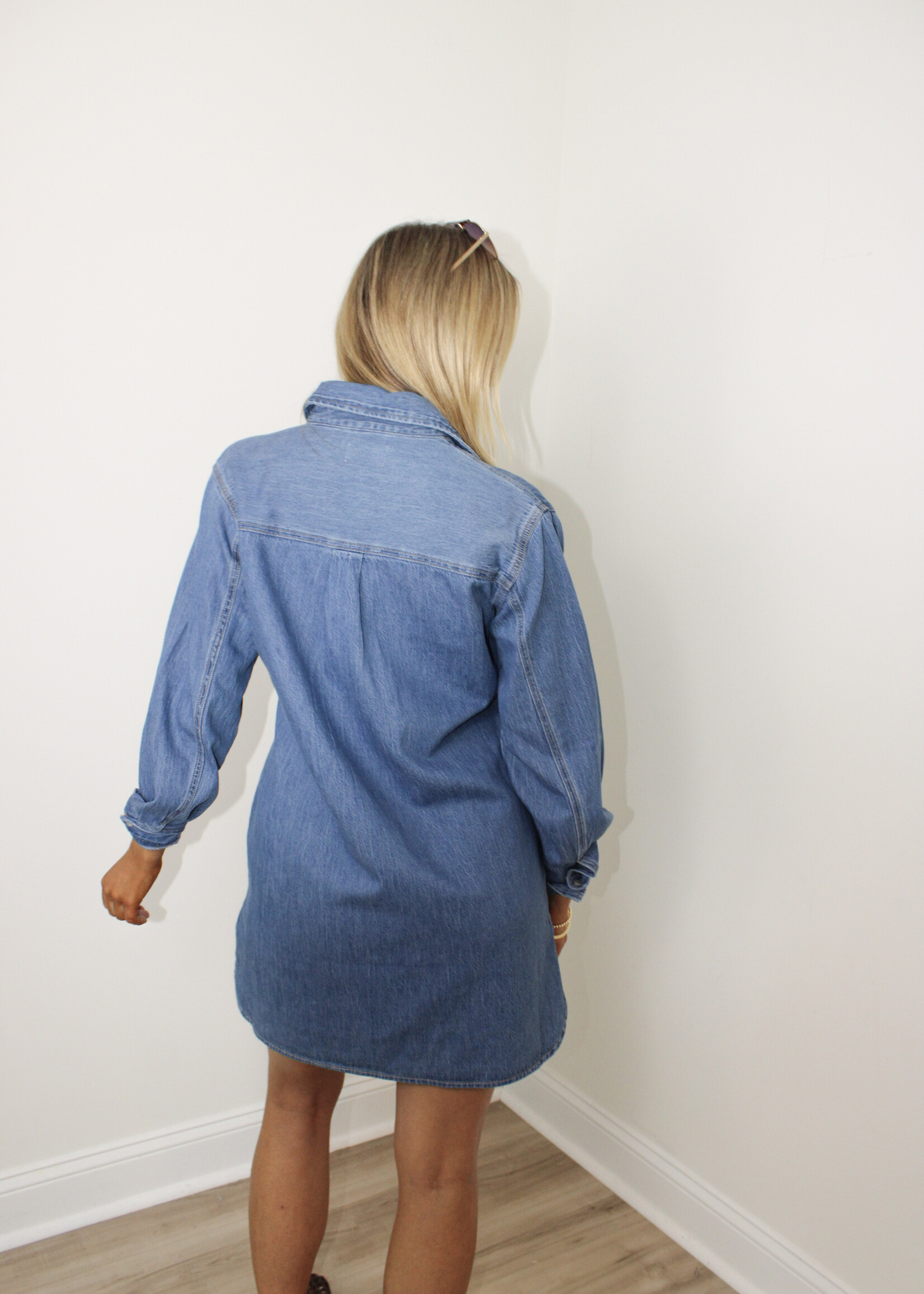 Z Supply Lucie Denim Shirt Dress
