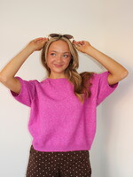 Ailani Short Sleeve Sweater