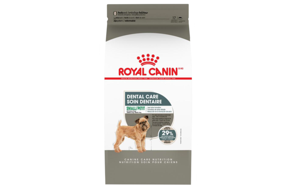 royal canin ccn