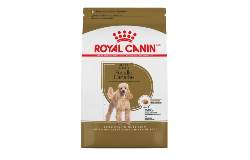 Royal Canin BHN Poodle Dog