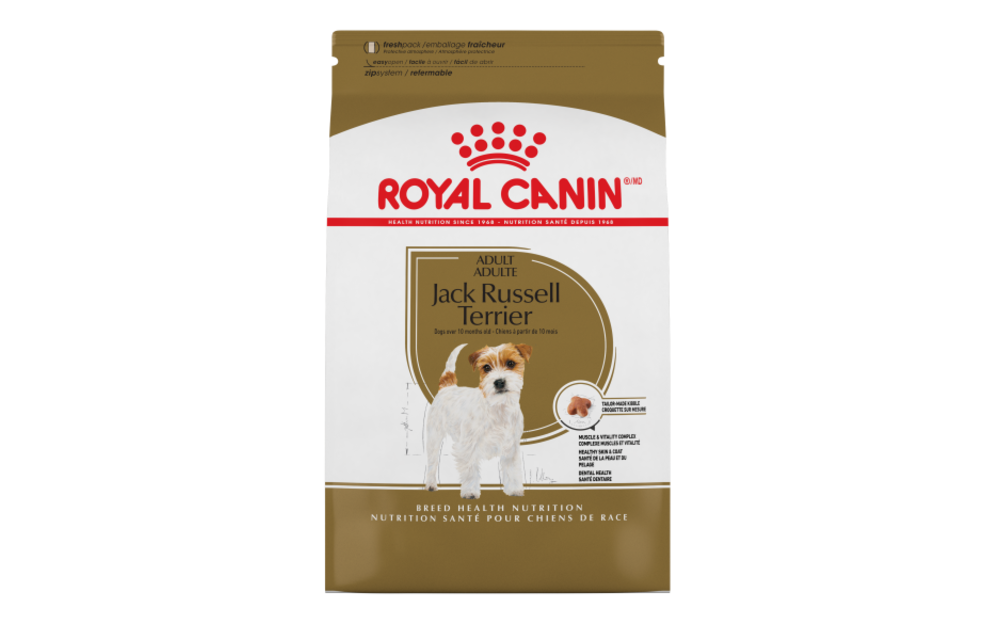 Royal Canin BHN Jack Russell Dog