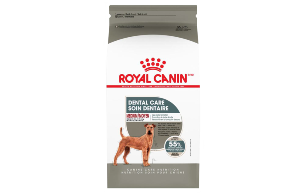 Royal Canin CCN Dental Care Medium Dog 28 lb