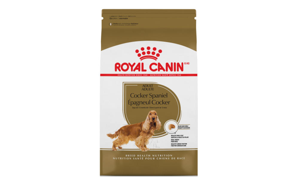 cocker spaniel royal canin
