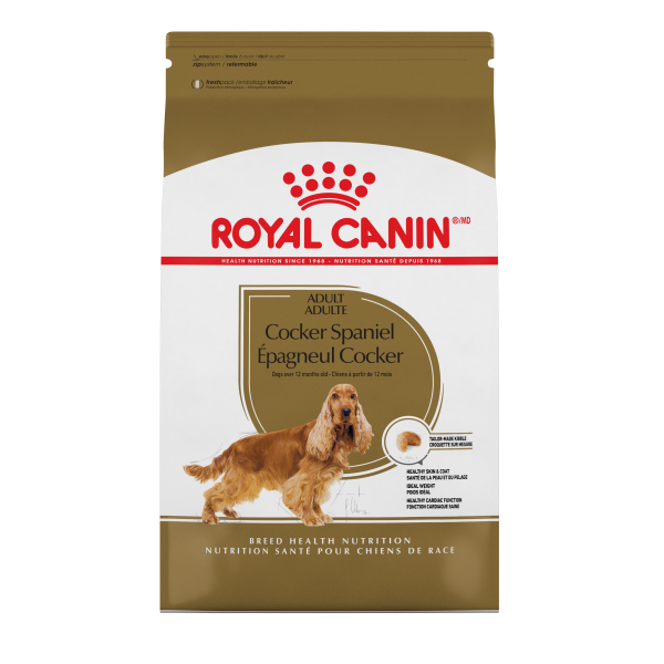 royal cocker spaniel