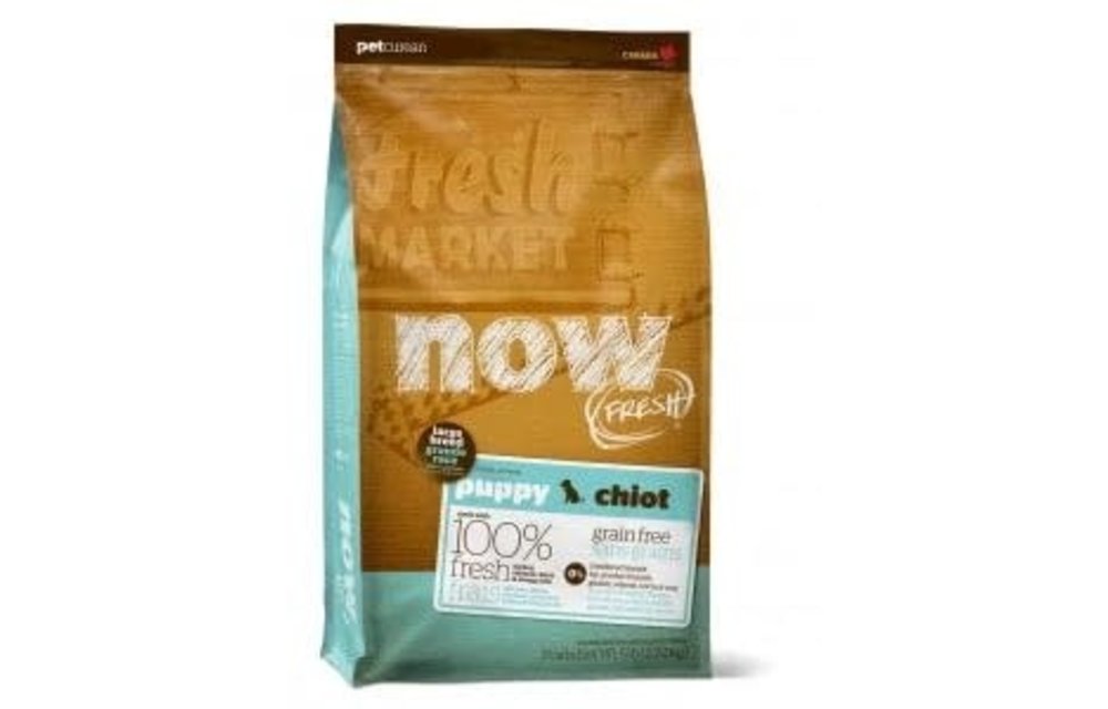 Now Fresh Turkey, Salmon & Duck Large Breed Puppy 22 lb