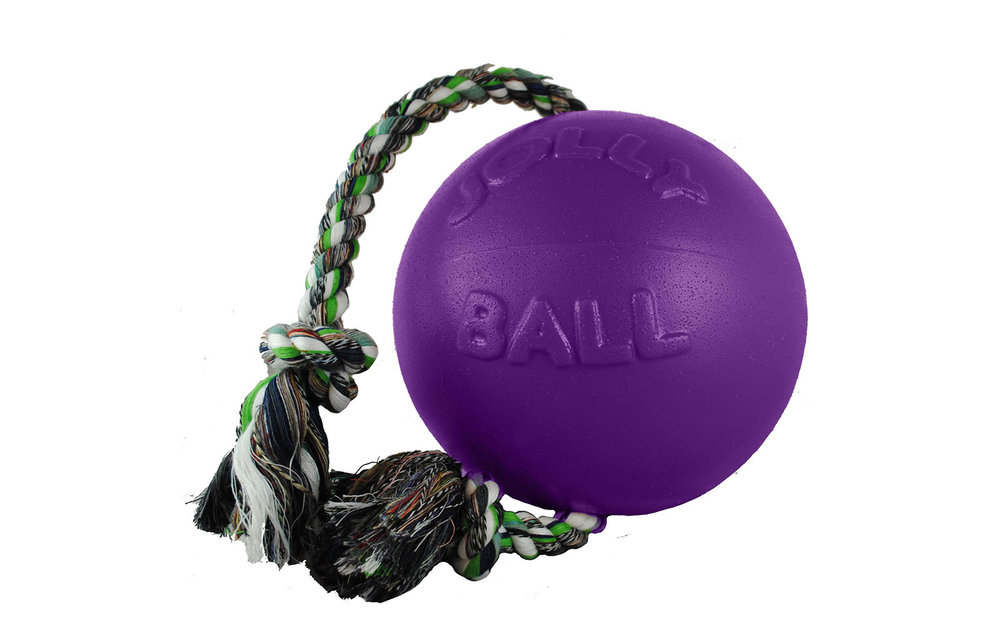 Jolly Ball Romp n Roll Purple 8"
