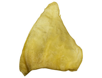 Silver Spur Buffalo Ears