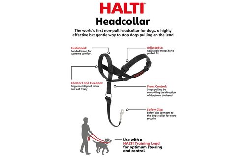 Company of Animals Halti Halt Headcollar Muzzle