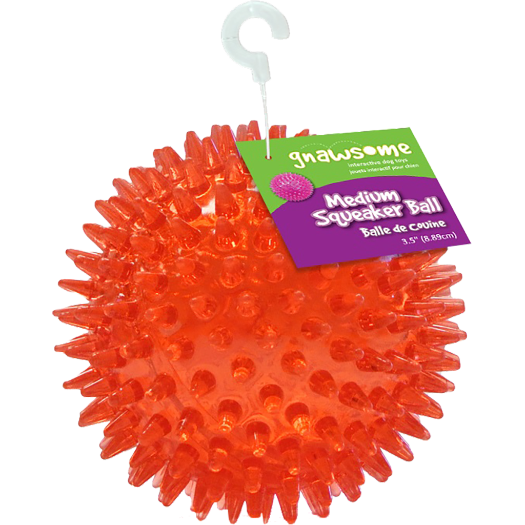 Gnawsome Squeak Ball 3.5"