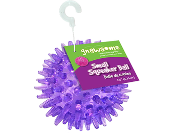 Gnawsome Squeak Ball 2.5"