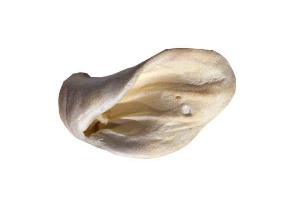 Open Range Cow Ear Large