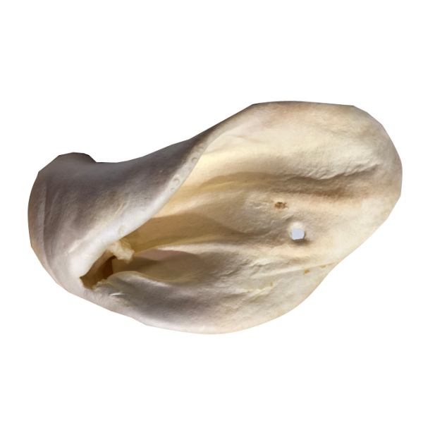 Open Range Cow Ear Large