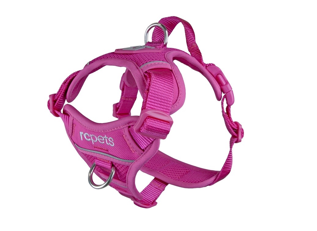 RC Pets Momentum Harness