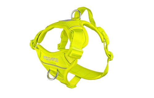 RC Pets Momentum Harness