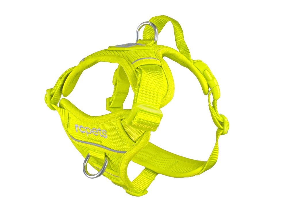 RC Pets Momentum Harness