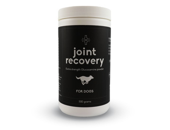 Fluid Recoverex Plus Joint Recovery 500 g