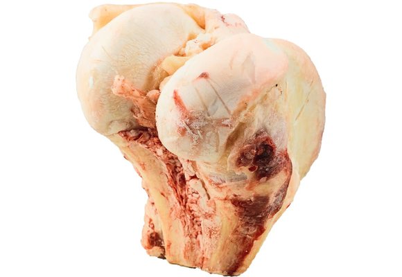 K9 Choice Frozen Buffalo Knuckle Dog Bone