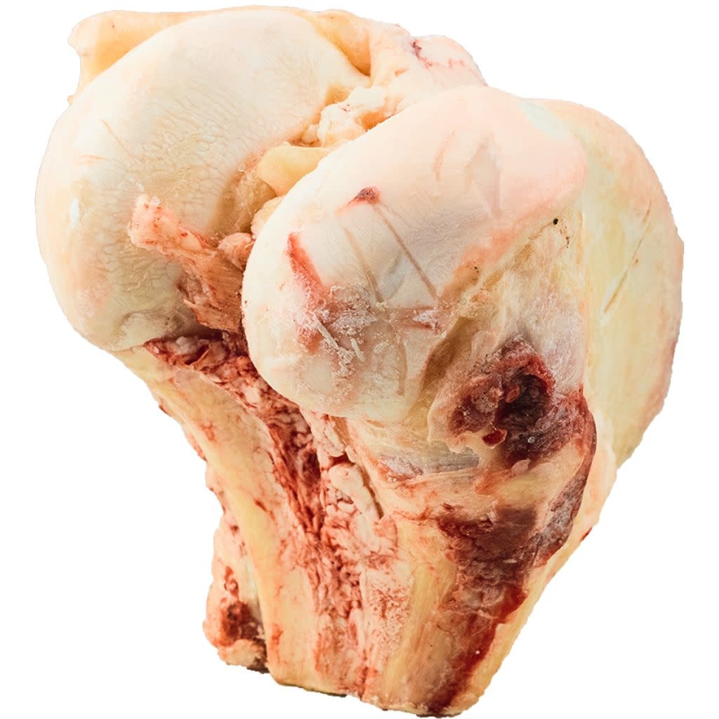 K9 Choice Frozen Buffalo Knuckle Dog Bone