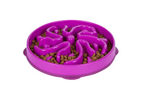 Outward Hound Fun Feeder