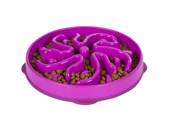 Outward Hound Fun Feeder
