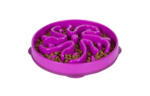 Outward Hound Fun Feeder