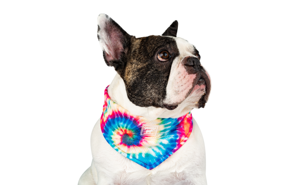 Canada Pooch Cooling Bandana Tie Dye Large
