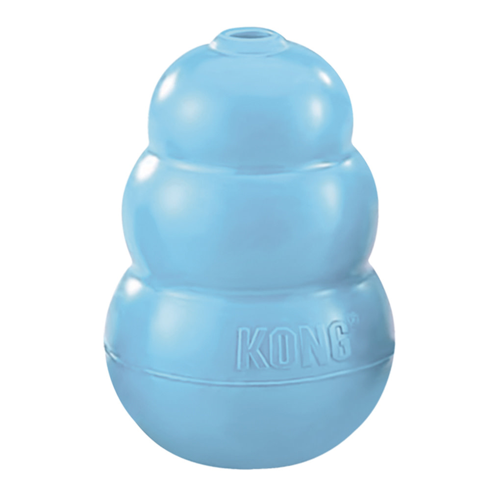 Kong Blue Large