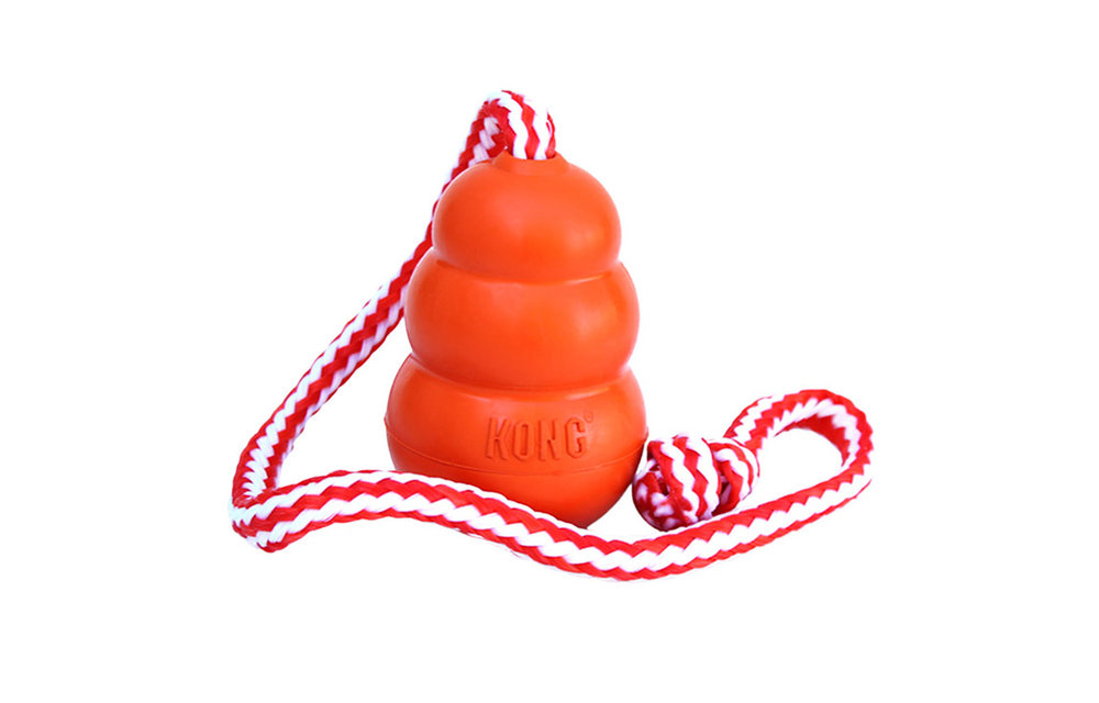 Kong Aqua Rope Med